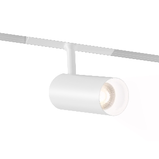 Трековый акцентный светильник Ambrella light GL4410 WH белый IP20 10W 3CCT 3000-6000K SMART 48V 24° D45*100