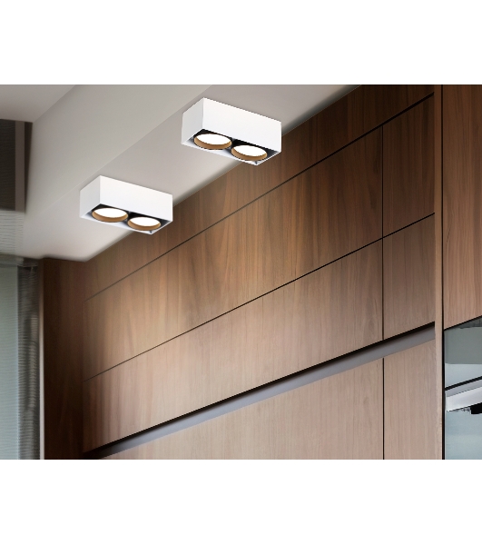 Светильник накладной TN70872/2 WH/BK белый/черный GX53/2 max 12W 185*92*62