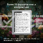 Электронная книга Digma E2 5.83