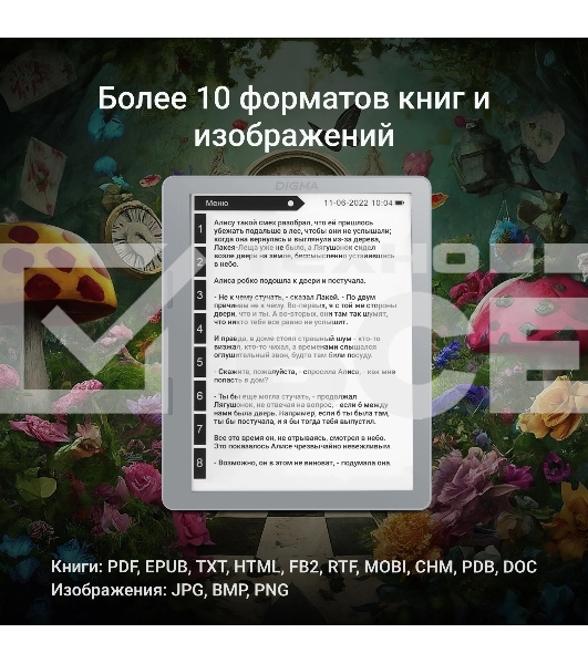 Электронная книга Digma E2 5.83