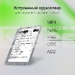 Электронная книга Digma E2 5.83