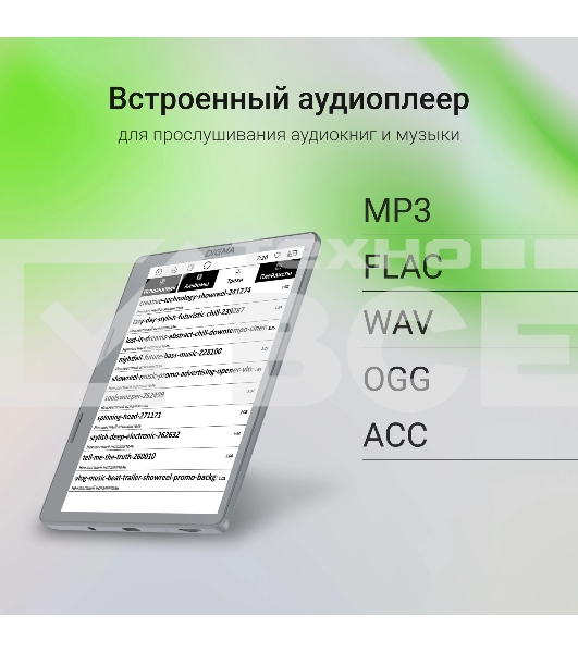 Электронная книга Digma E2 5.83