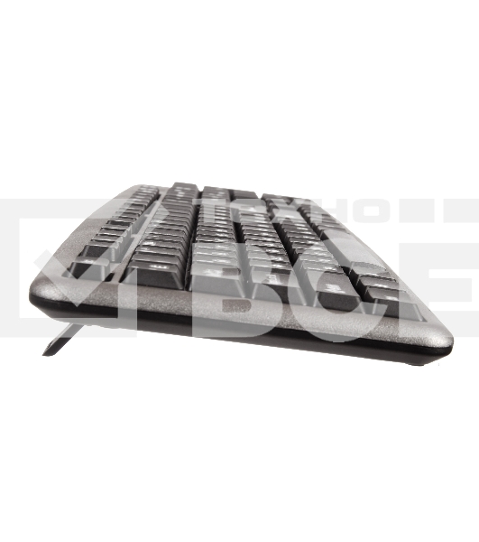 Клавиатура ExeGate LY-401 (EX264086RUS) проводная, USB, серебристый