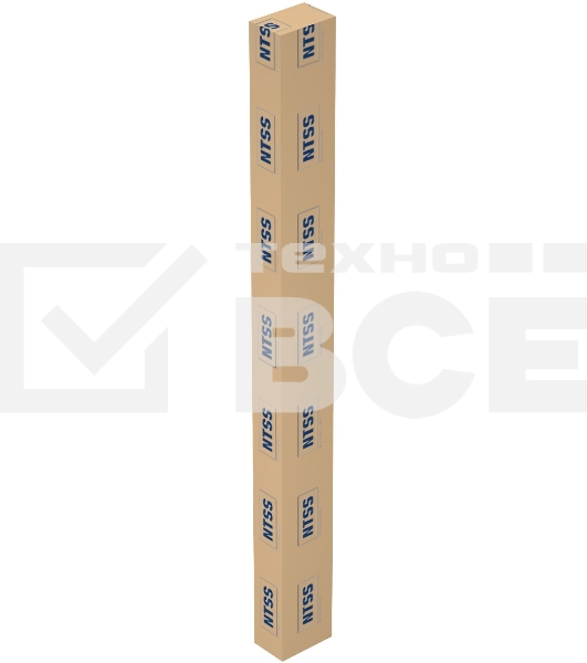 Стойка двухрамная NTSS NTSS-2POR42U/600-1000 42U 550ммx1000мм 600кг серый