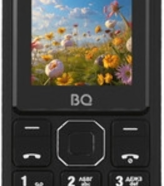 Мобильный телефон BQ 2459 Care черный
