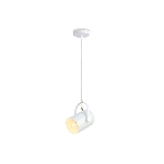 Светильник Ambrella light TR8205 WH белый E27 max 40W D117*1035, фото3
