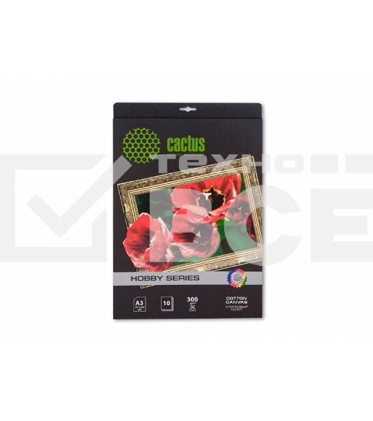 Холст Cactus CS-СA326010 A3/10л. для струйной печати