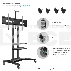 Стойка для телевизора с кронштейном ONKRON TS1881 50