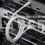 Rexant Пaтч-корд U/UTP, категория 5e, RJ45-RJ45, неэкранированный, LSZH серый, 1,5м, фото2