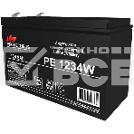 Батарея для ИБП Prometheus Energy PE 1234W 12В 9Ач, фото 1