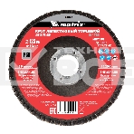 Круг лепестковый торцевой, P 60, 125 х 22,2 мм Matrix, фото2