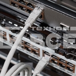 Rexant Пaтч-корд U/UTP, категория 5e, RJ45-RJ45, неэкранированный, LSZH серый, 1,5м, фото5