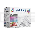 Миксер электрический Galaxy GL 2209, белый, ручной, 300 Вт, 5 скоростей + режим 