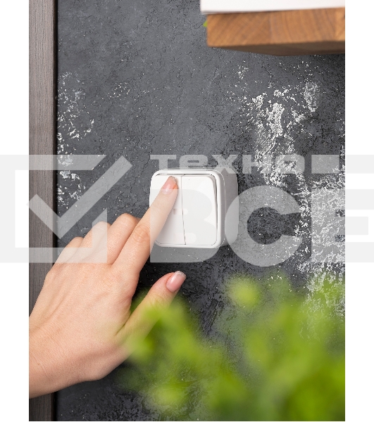 Выключатель 2-клавишный ОП 10А белый Минск EKF Basic