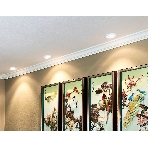 Светильник Ambrella light TN160 WH белый GU5.3 D92*38, фото5