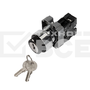 Переключатель BD21 2P с замком NO Rexant