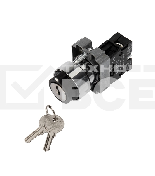 Переключатель BD21 2P с замком NO Rexant