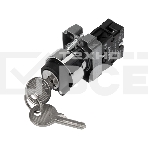 Переключатель BD21 2P с замком NO Rexant, фото2