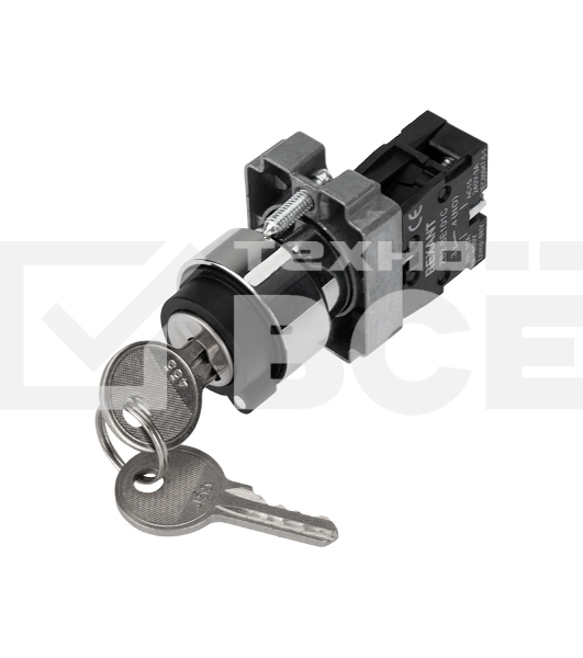 Переключатель BD21 2P с замком NO Rexant