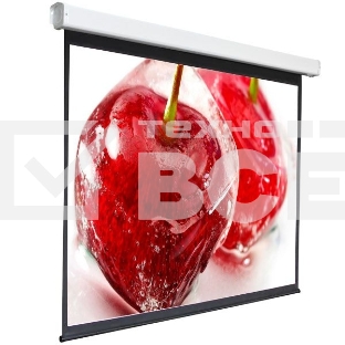 Экран 240x240см Digis Electra-F DSEF-1108 1:1 настенно-потолочный рулонный (моторизованный привод)