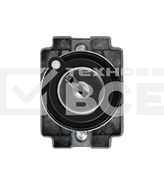 Переключатель BD21 2P с замком NO Rexant