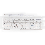 Клавиатура Gembird KB-8354U проводная, USB, бежевый/белый, фото2