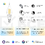 Лампа светодиодная филаментная Gauss Smart Home DIM+CCT E14 CF35 4,5 Вт 2000-6500 К 1/10/40, фото3