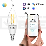 Лампа светодиодная филаментная Gauss Smart Home DIM+CCT E14 CF35 4,5 Вт 2000-6500 К 1/10/40, фото4