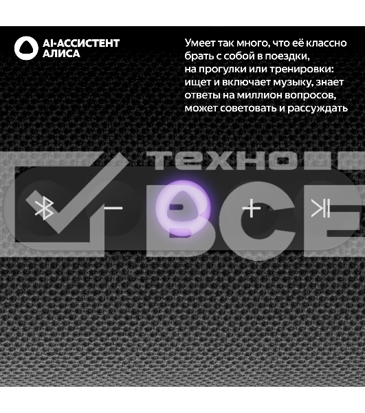 Умная колонка Yandex Стрит Алиса черный 30W 2.0 BT/Wi-Fi 10м 3300mAh (YNDX-00030BLK)