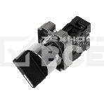 Переключатель BD21 2P короткая ручка NO Rexant, фото 1