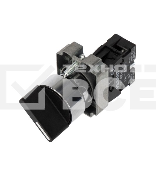 Переключатель BD21 2P короткая ручка NO Rexant