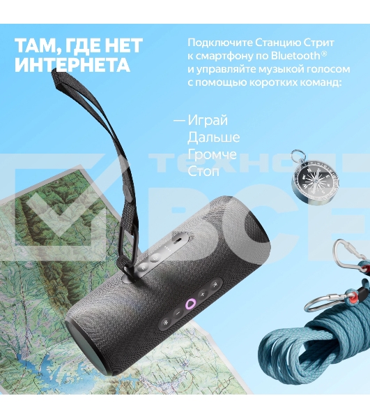 Умная колонка Yandex Стрит Алиса черный 30W 2.0 BT/Wi-Fi 10м 3300mAh (YNDX-00030BLK)