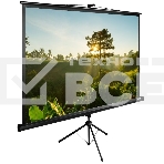Экран Cactus 200x200см TriExpert CS-PSTE-200х200-BK 1:1 напольный рулонный, фото2