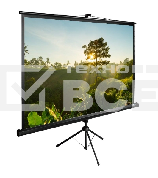 Экран Cactus 200x200см TriExpert CS-PSTE-200х200-BK 1:1 напольный рулонный