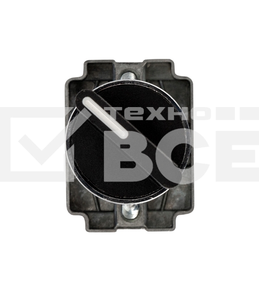 Переключатель BD21 2P короткая ручка NO Rexant