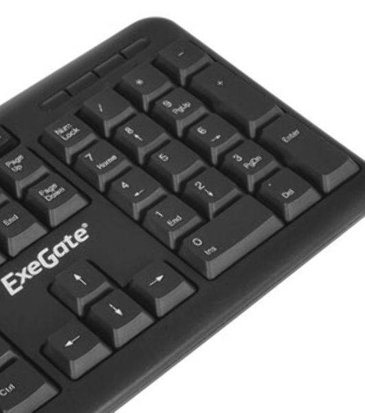 Клавиатура проводная ExeGate Professional Standard LY-405 (EX287138RUS), USB, черный