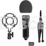 Микрофон RITMIX RDM-160 черный, фото7