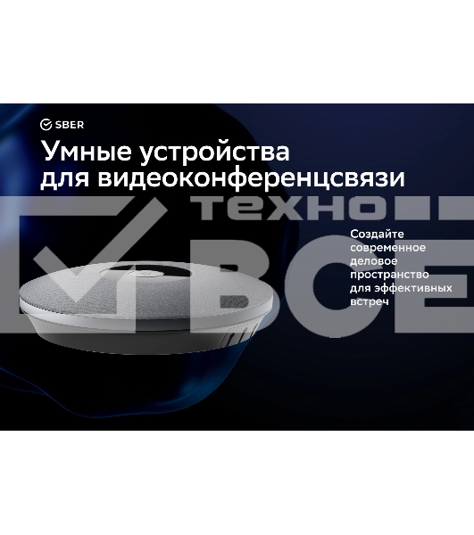 Микрофон Sber SDMIC-001