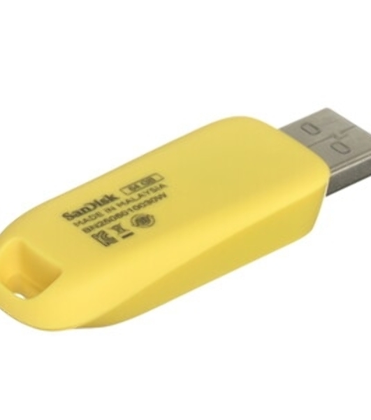 Флешка USB SanDisk Fortnite, Peely Edition 64Gb SDCZIF-064G-G46, USB3.2, желтая