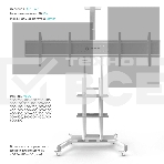 Стойка для телевизора с кронштейном ONKRON TS1881 50