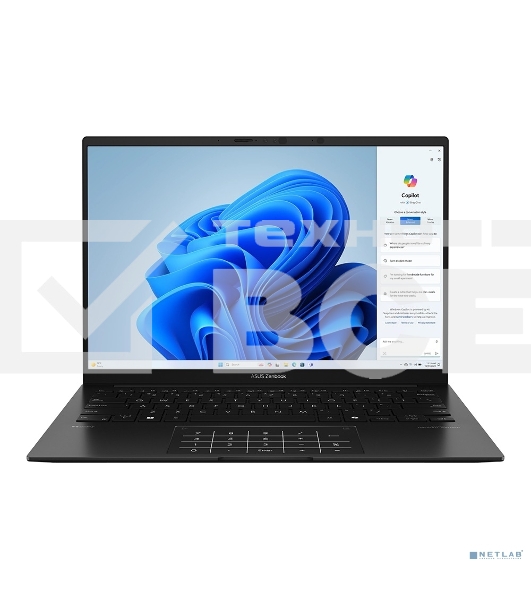 Ноутбук Asus Zenbook 14 UM3406GA-QD118/14'/OLED/AMD Ryzen AI 5 430/16Gb/1Tb SSD/AMD Radeon Graphics/без ОС/черный/1.2kg