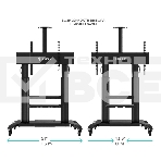 Стойка для телевизора с кронштейном ONKRON TS2811 60