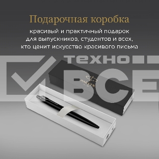 Ручка шариковая Parker Jotter Monochrome XL SE20 (CW2122753) Matt Black M син. черн. подар.кор.