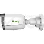 Камера видеонаблюдения IP Tiandy TC-C35WS I5/E/Y/2.8mm(4mm)/V4.0 1/2.8