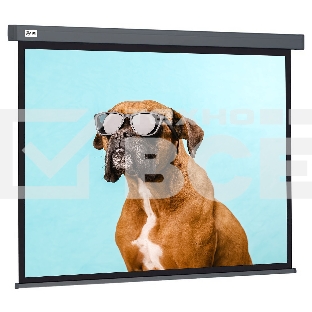 Экран Cactus 149.4x265.7см Wallscreen CS-PSW-149X265-SG 16:9 настенно-потолочный рулонный серый