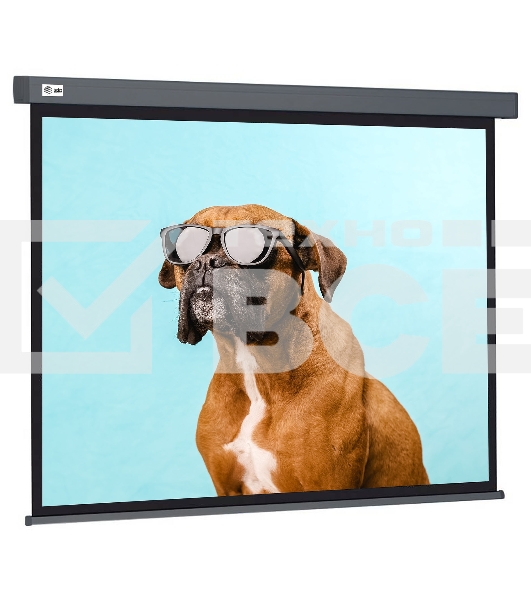 Экран Cactus 149.4x265.7см Wallscreen CS-PSW-149X265-SG 16:9 настенно-потолочный рулонный серый