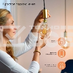 Лампа светодиодная филаментная Gauss Smart Home DIM+CCT E27 G95 Golden 6,5 Вт 2000-5500 К 1/40, фото7