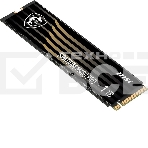 Накопитель SSD MSI SPATIUM M480 PRO, 1000GB, M.2 2280, PCIe 4.0 x4, NVMe, R/W 7400/6000, фото9