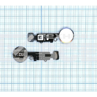 Кнопка HOME в сборе с механизмом и шлейфом для iPhone 7, 7 Plus, 8, 8 Plus, SE 2, SE 3 белый