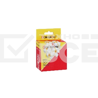 Картридж струйный Colouring CG-0631 черный пигментные для принтеров Epson C67/C87/CX3700/CX4100/CX4700